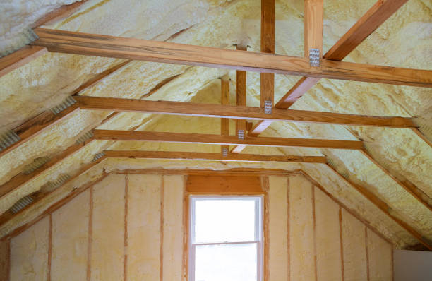 Best Cellulose Insulation in Vista Center, NJ